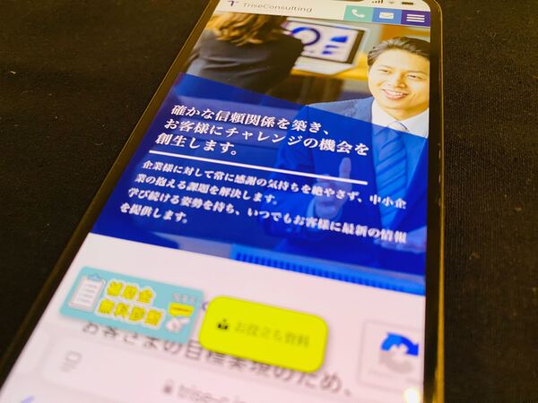 株式会社トライズコンサルティング